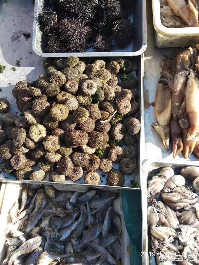 你觉得哪些食材做法简单却很好吃?