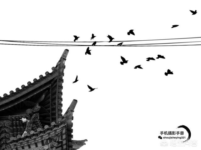 敖犬资料介绍及照片曝光:作为摄影爱好者，你觉得摄影修图算不算“二次创作”？为什么？