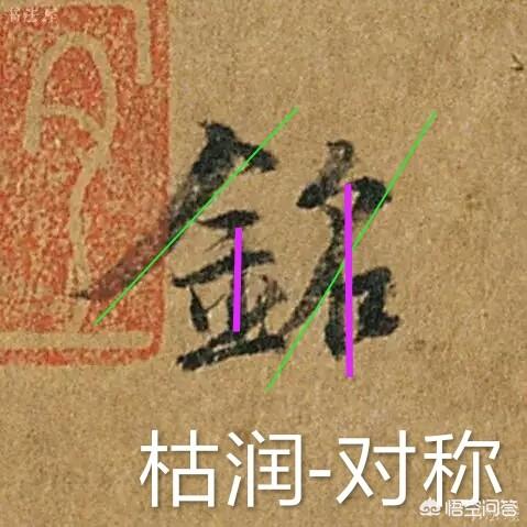 黄腹山雀 韭菜尾:点子鸟是不是一换笼子就爱死啊？需要注意什么呢？