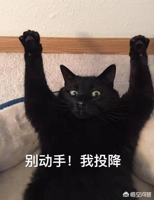 中国移动宽带网速不快怎么办？需要换路由器吗？