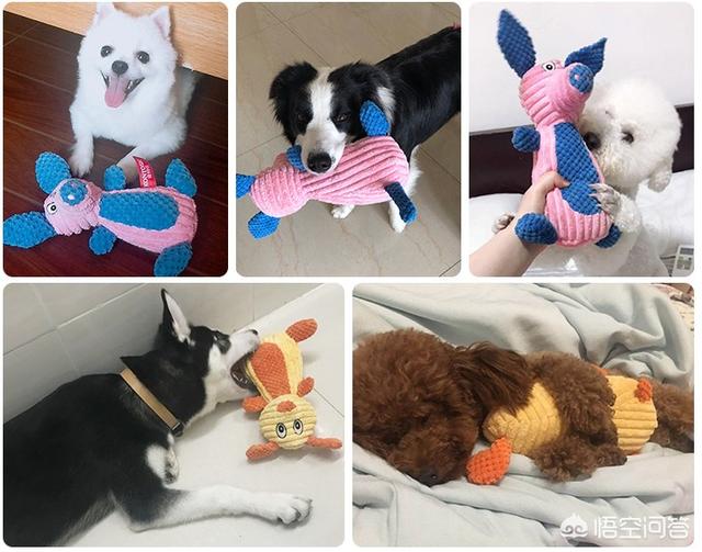 宠物玩具:如何给狗狗挑选合适的玩具呢？