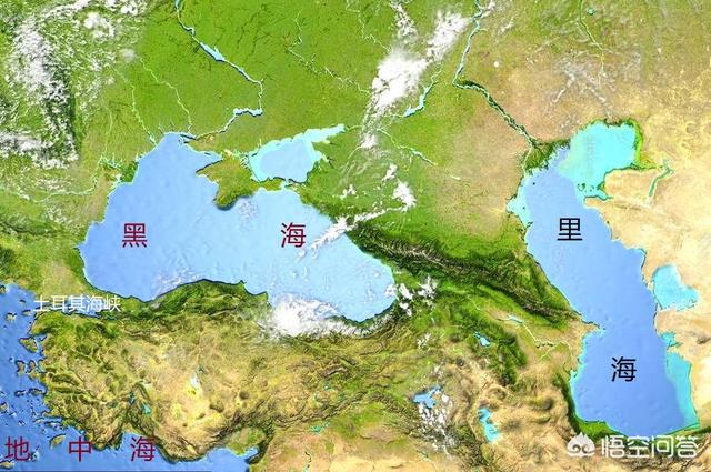 鸭子舰队(中国玩具鸭海上漂流14年有谁清楚？