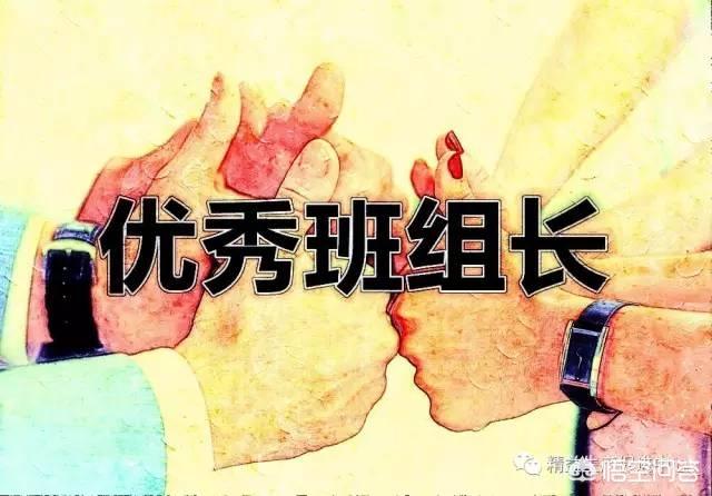 报告狗班长视频:报告狗班长西泽 如何提高金毛犬对主人的服从性？