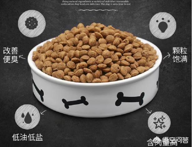 中国马犬百度百科:养马犬前需要具备什么条件？