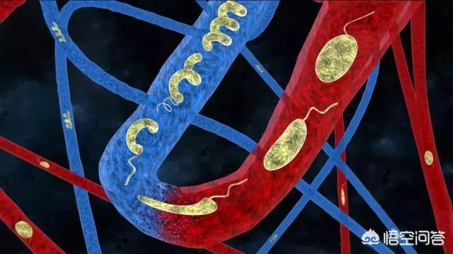 纳米机器人:人类要什么时候才能用纳米机器人得到永生呢