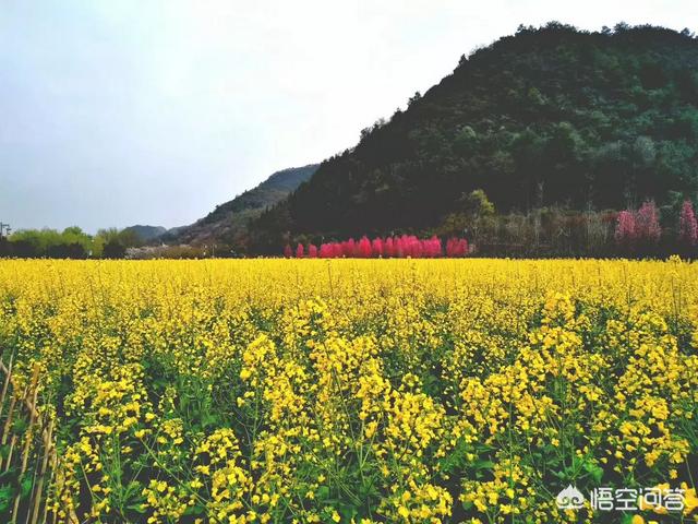 头条问答 春节拍一张全家福对你意味着什么 3个回答