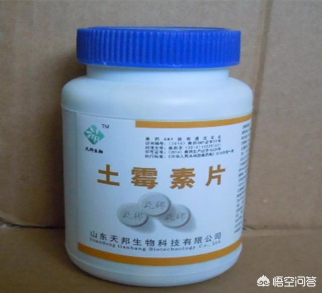 锦鲤的饲养方法与疾病防治:锦鲤鱼池3吨水，下多少土霉素？