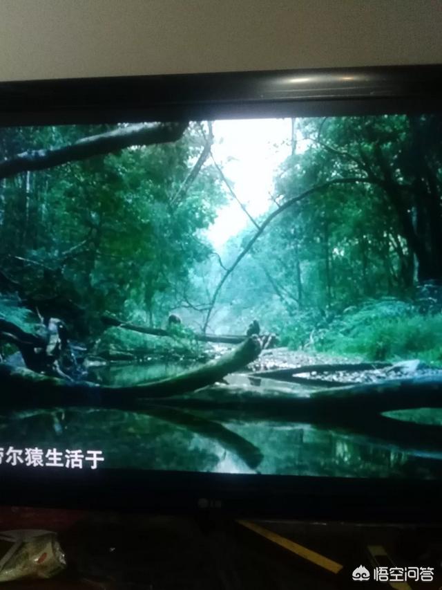 有些人认为人类完全不是动物,人类与动物没有血统关系,动物生存和进化的规律完全不适用于人类,你怎么看？
