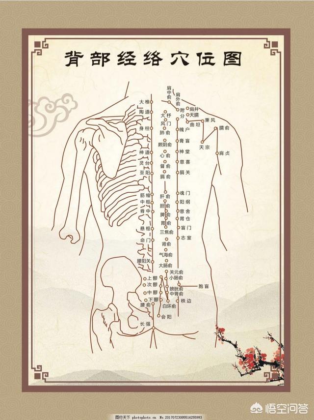 头条问答 经络不通会有哪些感觉 如何疏通经络 40个回答