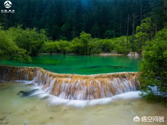 四川发现一条幼龙图片，黄龙风景名胜区有哪些值得游玩的景点