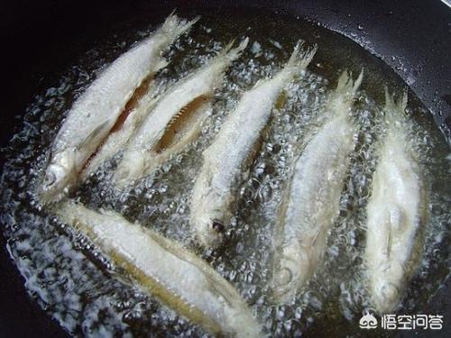 鱼肉狗粮的制作方法:鱼怎么做，猫咪才喜欢吃？ 干狗粮的制作方法