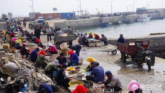 青岛海鱼的种类图片:潮汕海鱼的种类图片及名称 除夕，在青岛吃哪种鱼会比较有地域特色？