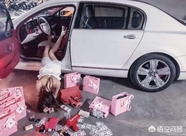 中国狸花猫在国外受欢迎吗:为什么欧洲的奢侈品会那么受国人喜欢？