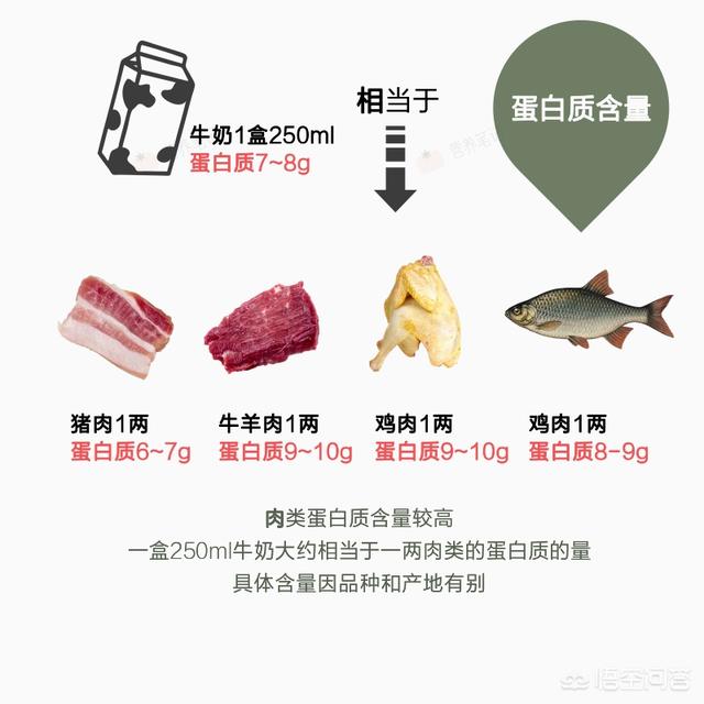 蛋白质含量高的食物:豆浆蛋白质高不高,健身后喝豆浆对肌肉有帮助吗