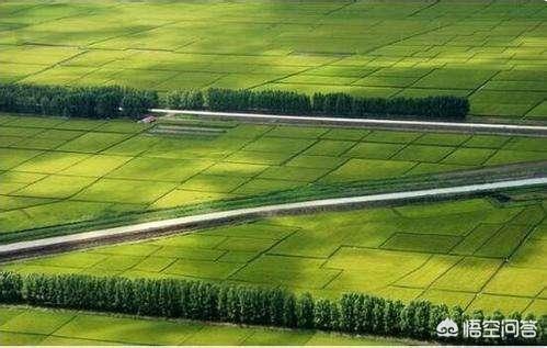 区块链农产品溯源，农业如何通过区块链实现智能化农业