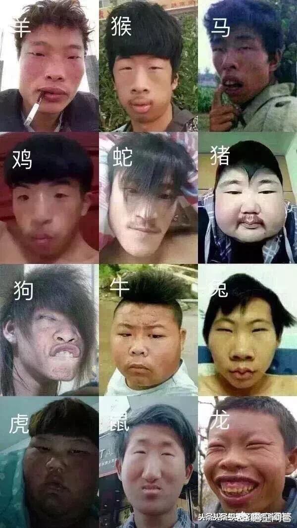 你认为最近小视频最火的人是谁？为什么？