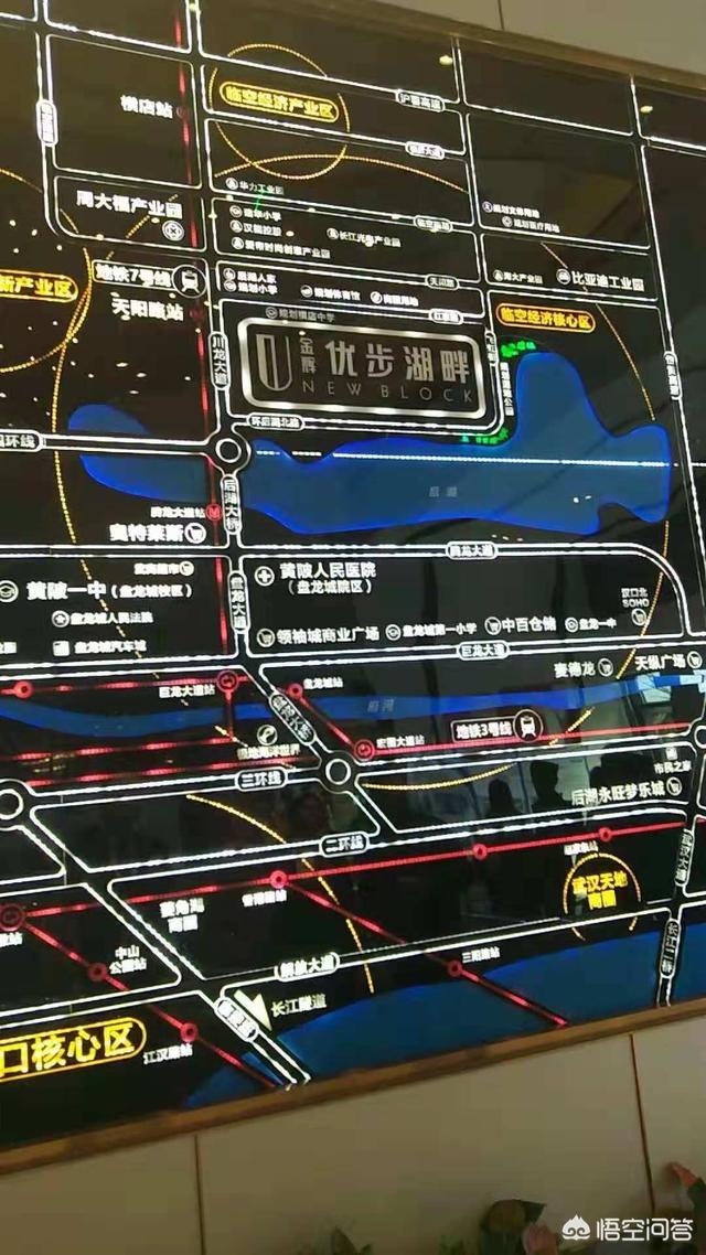 武汉霸王角蛙价格:首付20万，月供3000元左右能在武汉买哪里的房子？