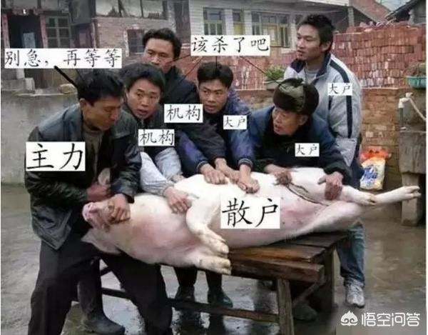 为什么说成功的投资都是反人性的? - 第6张