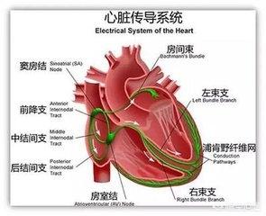 心电图右心偏大的可能性-心电图右房偏大是什么原因