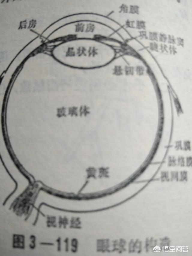 如何预防青光眼？