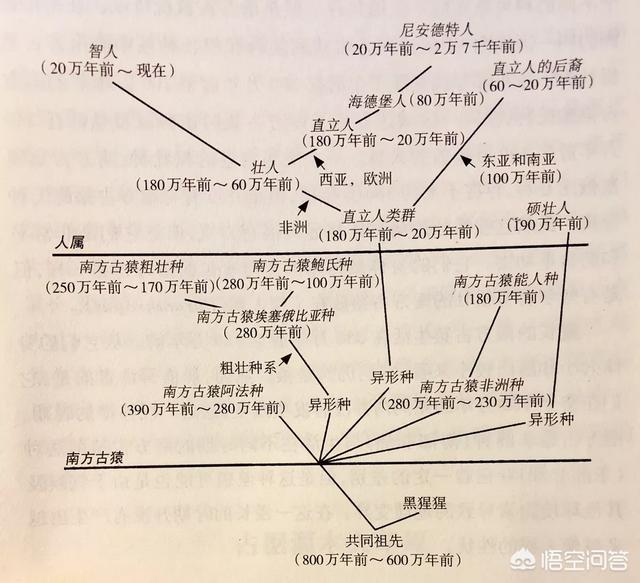 先有男人还是先有女人，历史上有人类文明出现，是先有男人，还是先有女人？