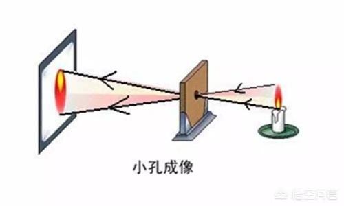 历史上有哪些科学全才？