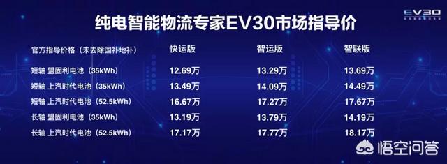 大通电动汽车ev80价格，哪些中国汽车品牌售价超过20万？