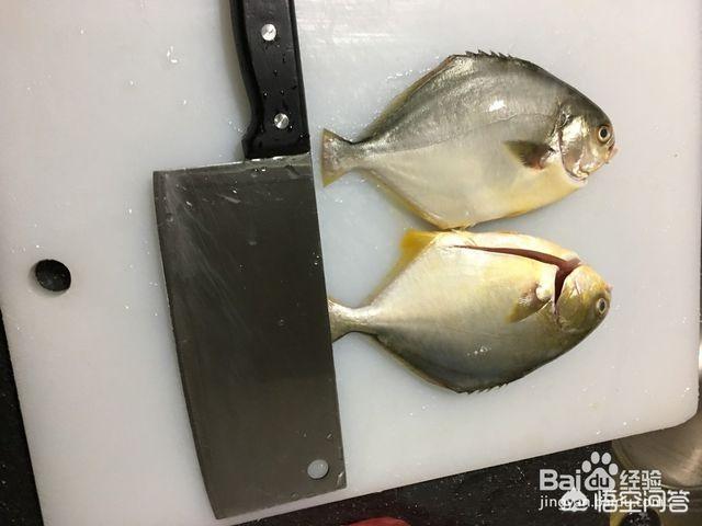 怎样蒸金鲳鱼既好吃又简单？