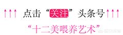 快速<a href=https://maguai.com/list/56-0-0.html target=_blank class=infotextkey><a href=https://maguai.com/list/56-0-0.html target=_blank class=infotextkey>健康</a></a>减肥:肚子有赘肉，穿衣不好看，夏天怎么吃才能<a href=https://maguai.com/list/56-0-0.html target=_blank class=infotextkey><a href=https://maguai.com/list/56-0-0.html target=_blank class=infotextkey>健康</a></a>、快速地塑身减肥(肚子赘肉怎么减最快最有效的方法)