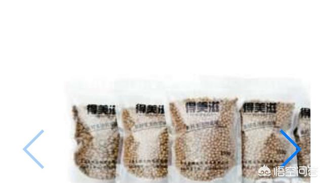 宠物食品招聘:除了狗粮，宠物狗还可以吃什么人类的食物吗？ 山东宠物食品招聘