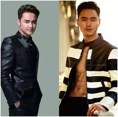 刘谦整容:有哪些明星长相太相似，让你傻傻分不清楚？