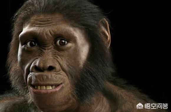 人类进化未解之谜，有人说“人类是外星人和古猿的杂交产生的”，有何依据