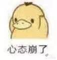 猫的诱惑漫画橘文泠:猫咪是否需要另一只猫的陪伴？