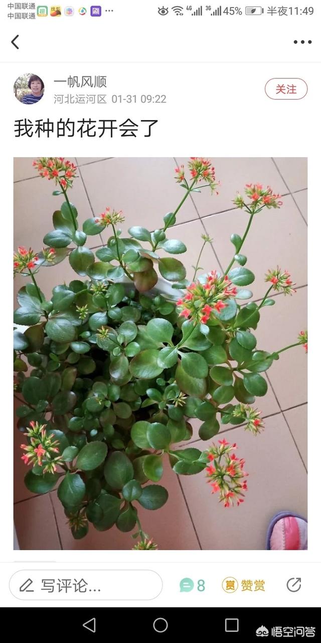 春节对联图片,你家过年门上还贴春联吗？