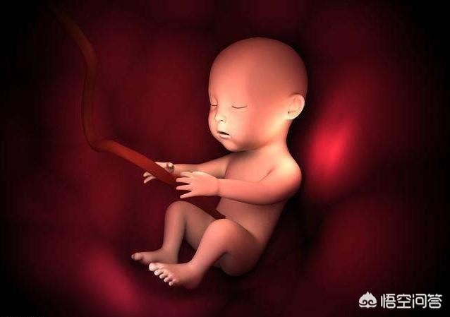 女生，你过了多久才知道怀孕的有哪些经历