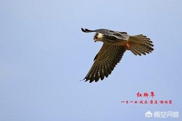 十三陵地宫:明十三陵除了定陵外，其他陵为什么不发掘地宫？