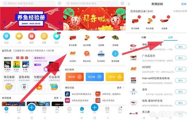 成年b级过背金龙鱼图片:金龙鱼的市场价格是多少？有何依据？