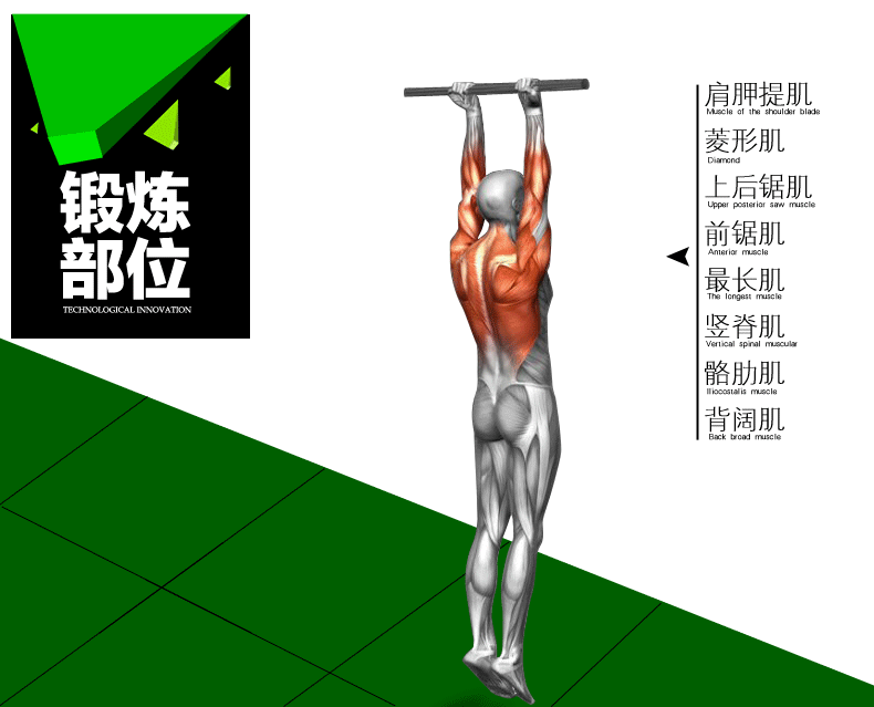 头条问答 - 为什么有些人可以单手俯卧撑却做不了引体向上?(27个回答)