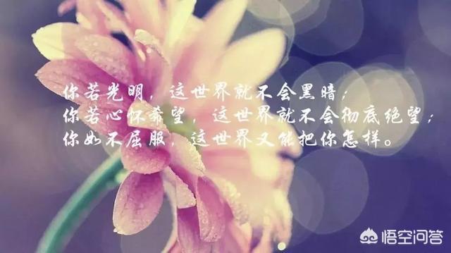 发<a href=https://maguai.com/list/256-0-0.html target=_blank class=infotextkey>朋友圈</a>好听的句子配图:有什么好的图片，句子，求分享？