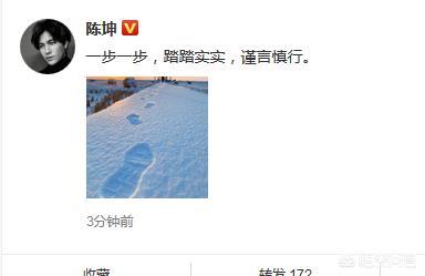 稀土部队是谁:如何评价章子怡、陈坤等名星怒怼DG设计师