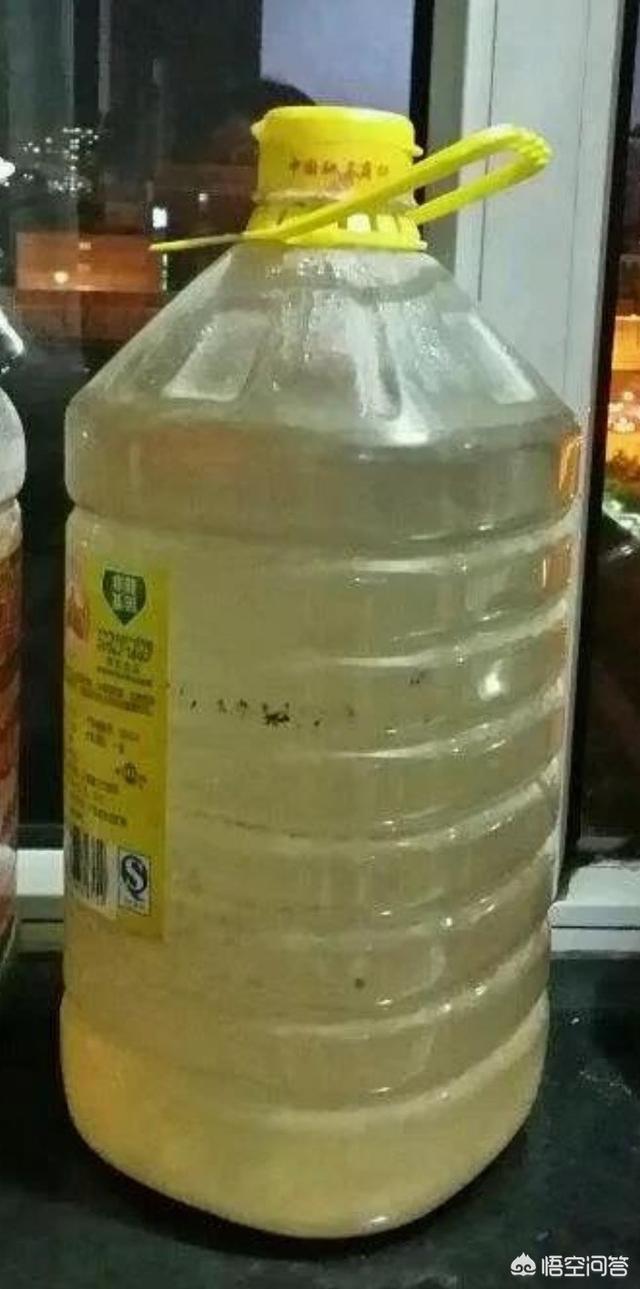 一叶兰能用淘米水浇吗:一叶兰可以用醋兑水浇吗 淘米水和洗菜水可以用来浇兰花吗？