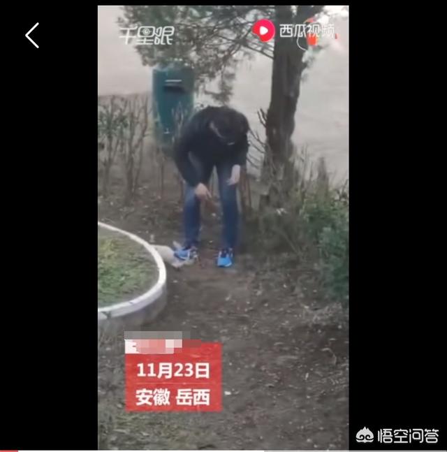 李宇春鞋被狗咬烂:安徽岳西小学校长校内脚踩流浪狗被热议，你怎么看？