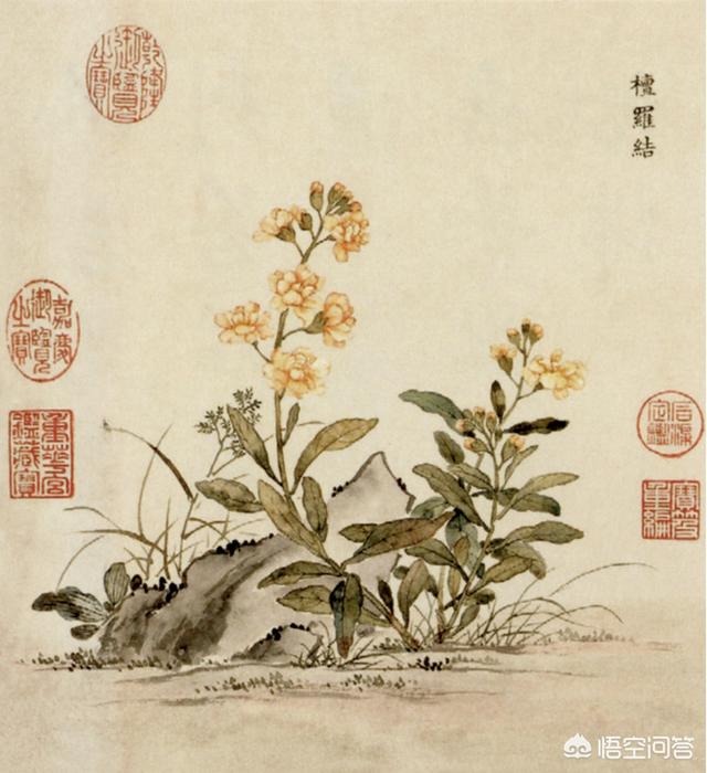 周香芸:怎么评价影视剧《鬓边不是海棠花》？
