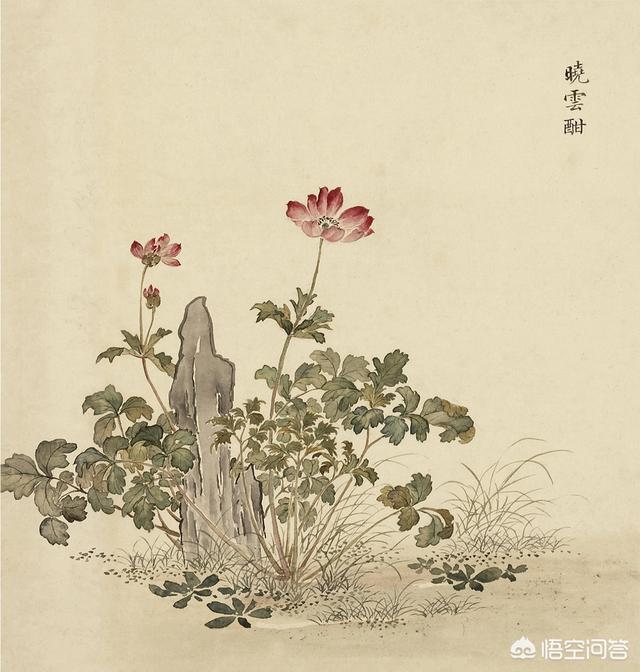 周香芸:怎么评价影视剧《鬓边不是海棠花》？