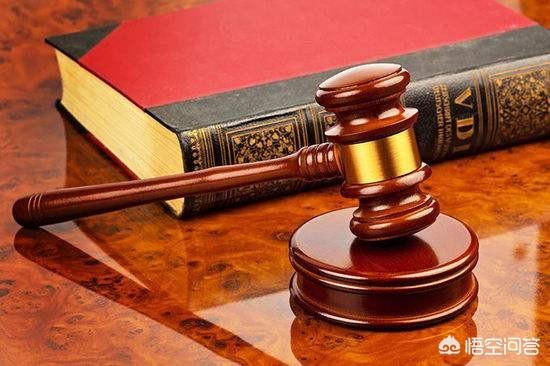 养狗这件事3g下载:为狗狗做过哪些事的主人，才算是合格的主人？