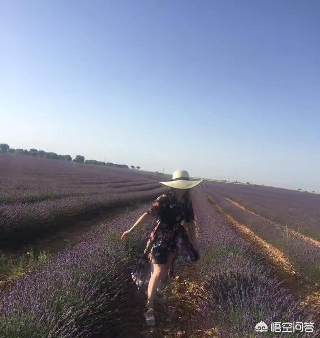 玉镯带紫色是什么玉,年轻人戴紫罗兰翡翠手镯可以吗？