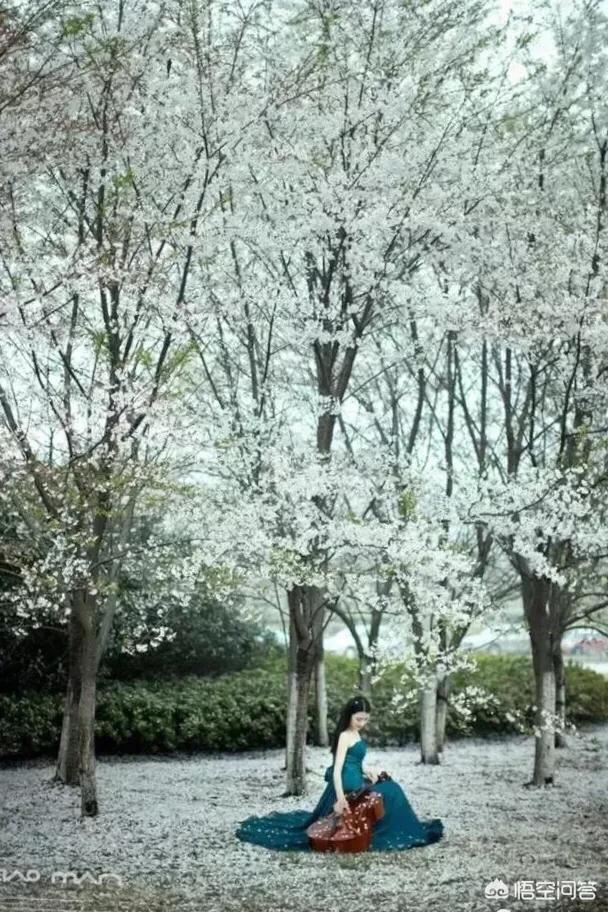 你是喜欢南方的雨还是喜欢北方的雪？