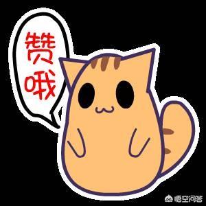 怎样的表白语会让你心动？