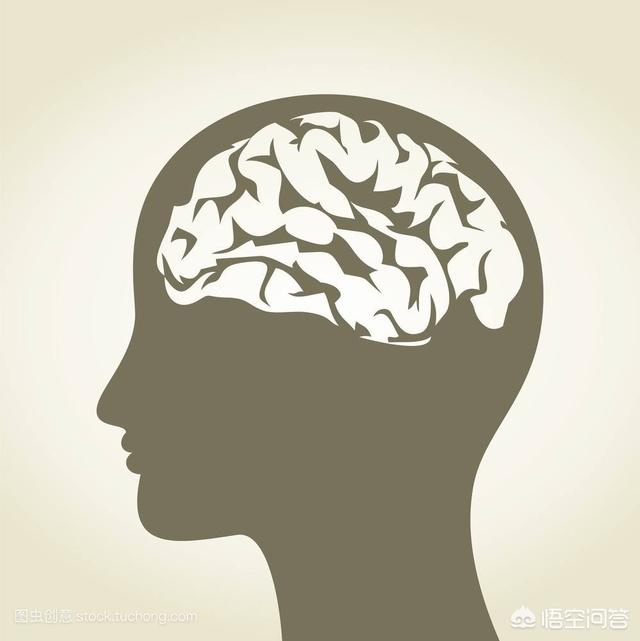 休儒眼镜猴的阅读答案:”四肢发达头脑简单”是否有一定的科学道理？