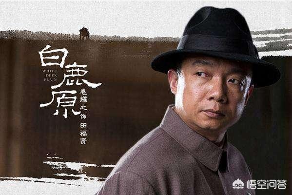 白鹿原停播:电视剧《白鹿原》为什么收视率不高呢？